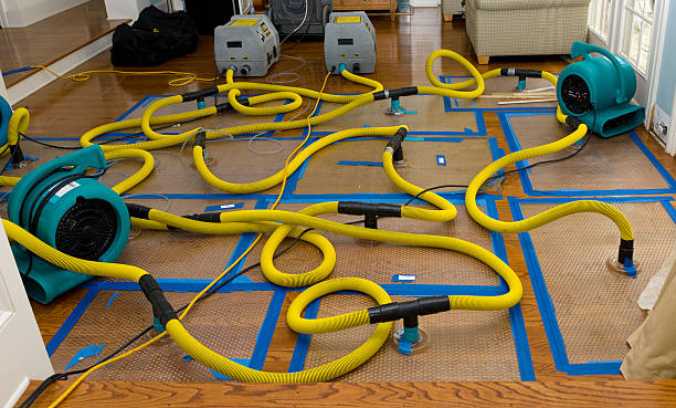 Professional Basement Flood Cleanup technician working in Rainier, WA
